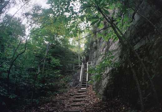 Fall in the Big South Fork